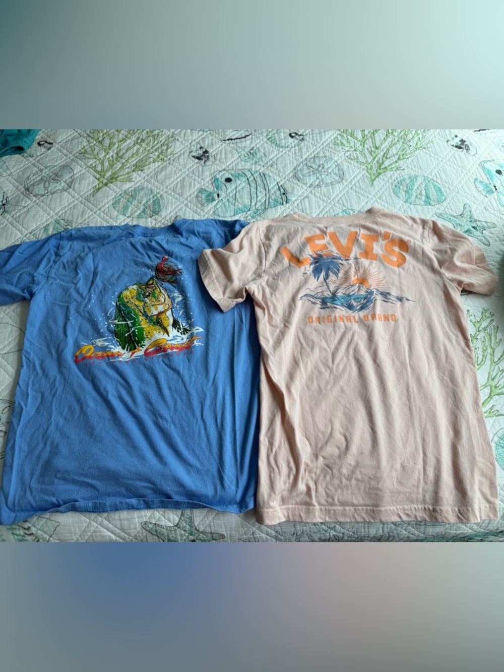 Large Levi's Peach Graphic t-shirt and large Perriwinkle Ocean Coast tee-shirt